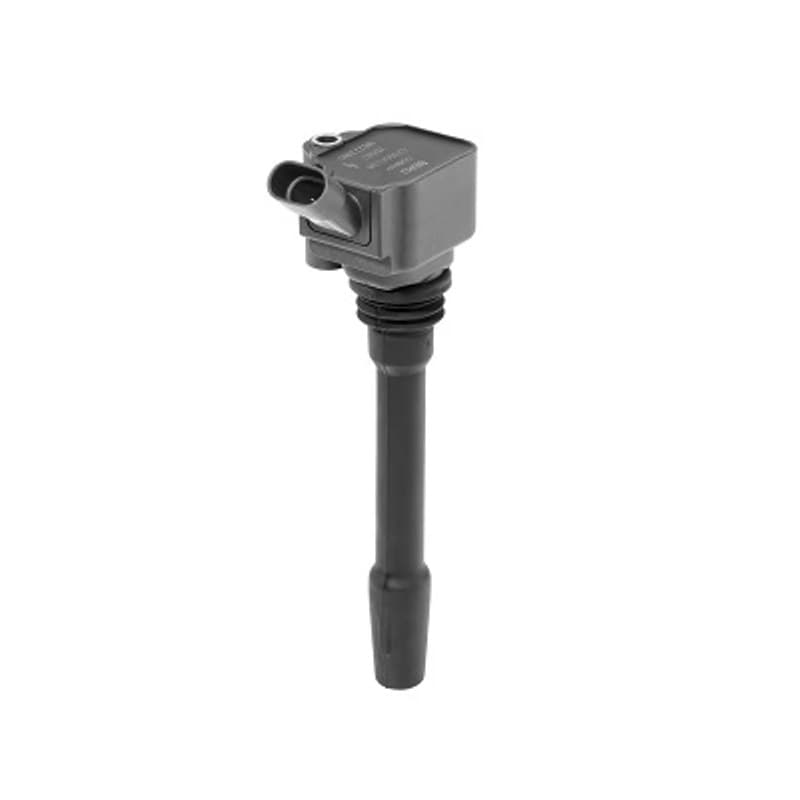 BORGWARNERBERU ritė, uždegimas ZS587