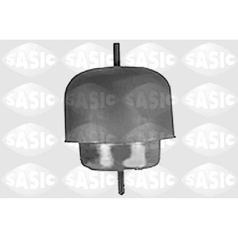 SASIC variklio montavimas 9001387