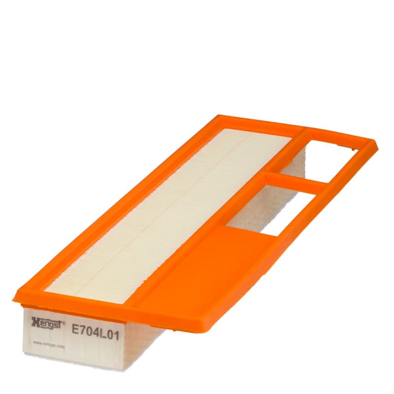 HENGSTFILTER oro filtras E704L01