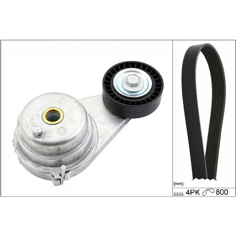 SCHAEFFLERINA V formos rumbuotas diržas, komplektas 529 0147 10