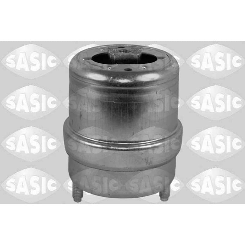 SASIC variklio montavimas 2706185