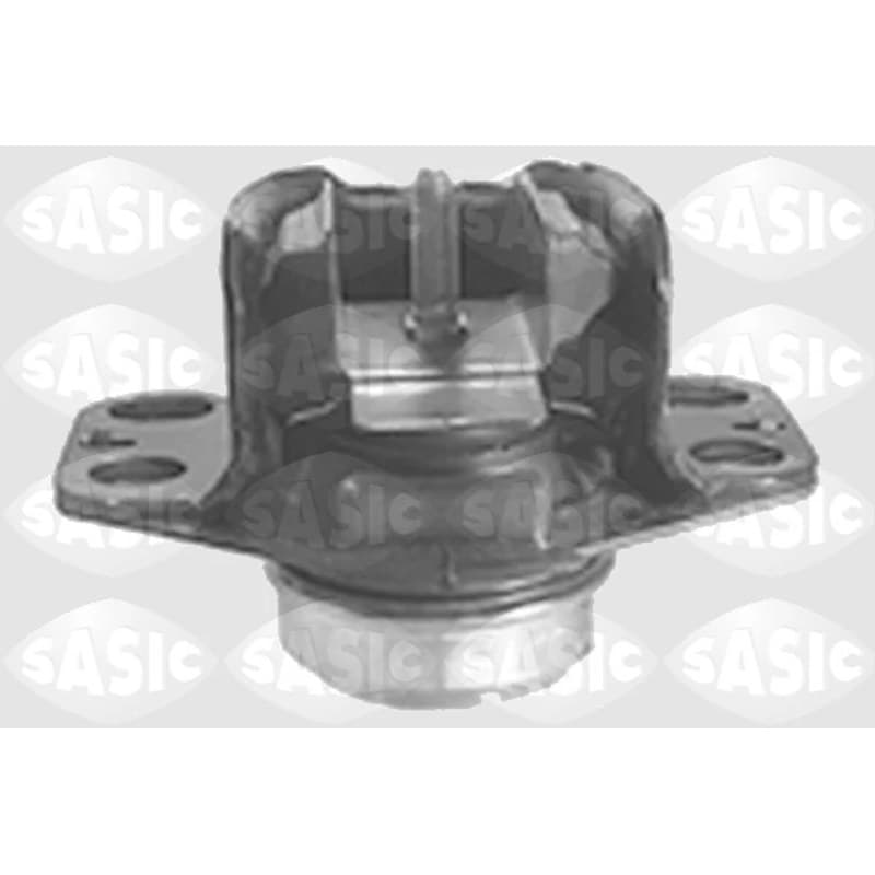 SASIC variklio montavimas 4001716