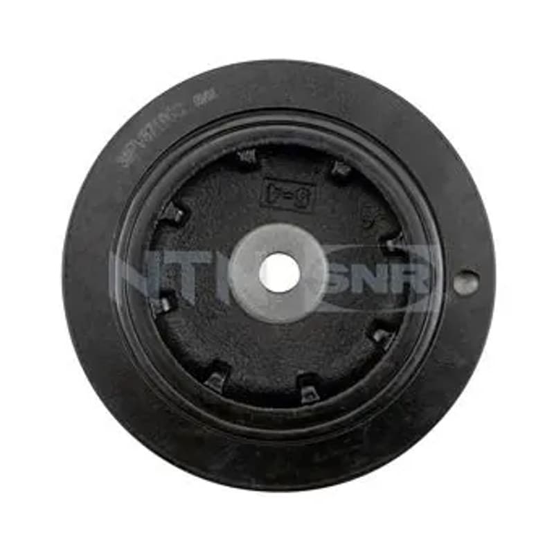SNR skriemulys, alkūninis velenas DPF355.09