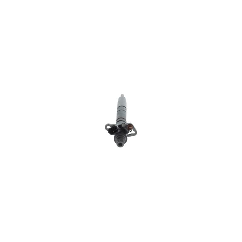 BOSCH 0 445 117 092 įpurškimo antgalis