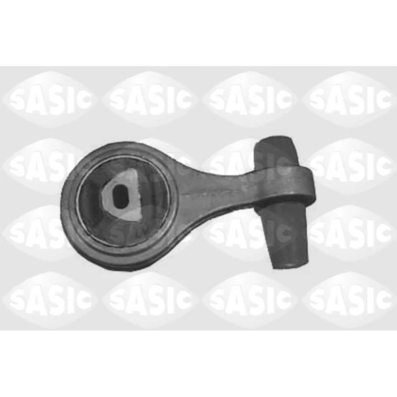 SASIC variklio montavimas 9002433