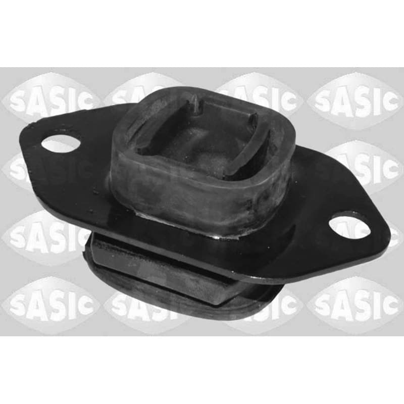 SASIC variklio montavimas 2704139