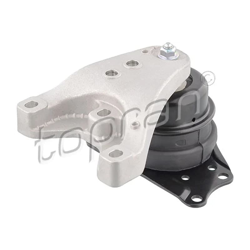 TOPRAN 111 902 variklio montavimas