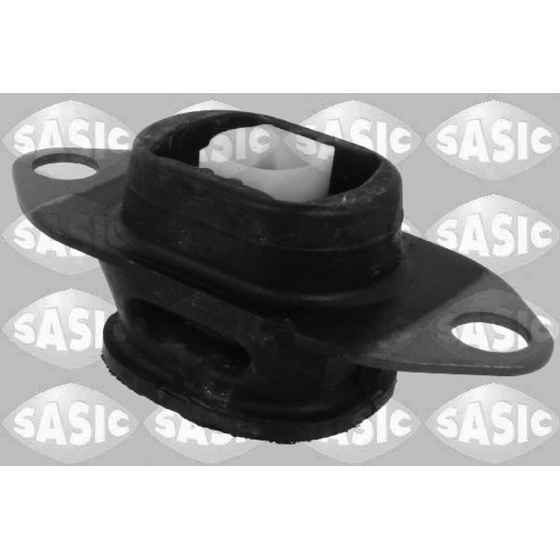 SASIC variklio montavimas 2704088