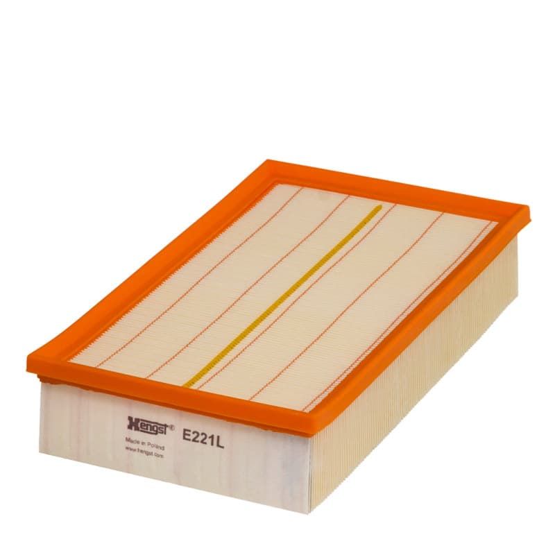 HENGSTFILTER oro filtras E221L