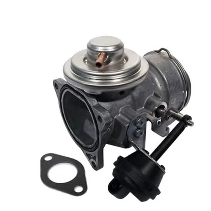 MAGNETIMARELLI ERG vožtuvas 571822112051