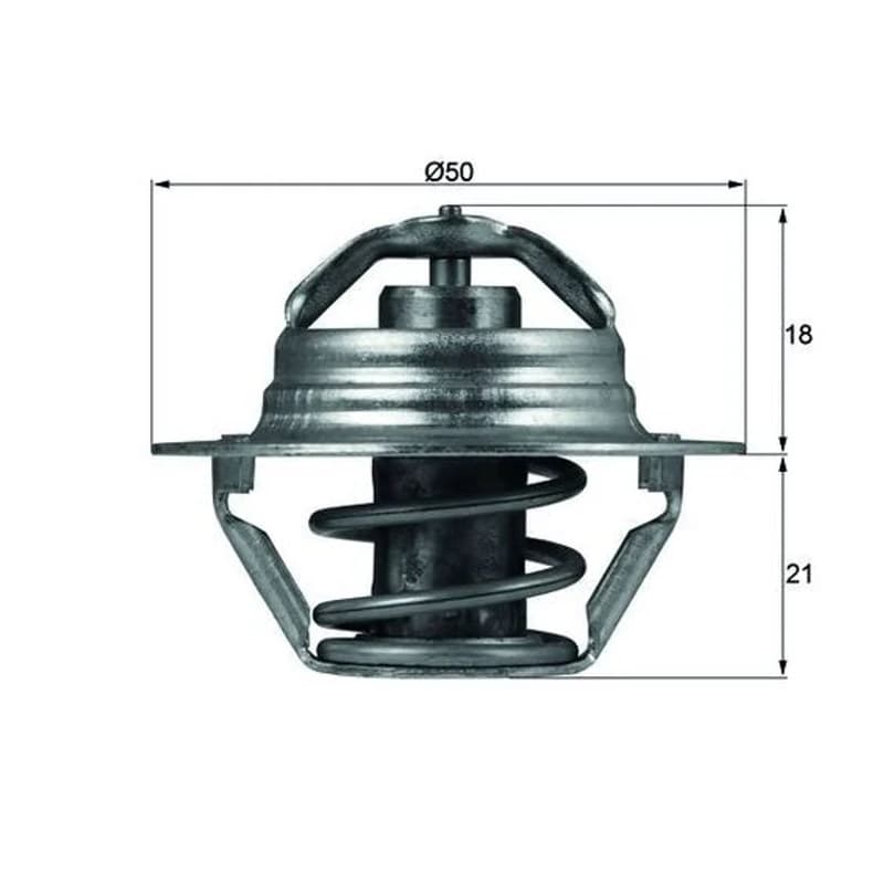 MAHLE TX 100 89D termostatas, aušinimo skystis