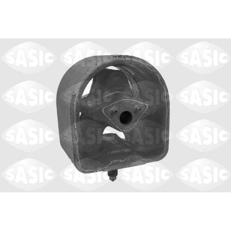 SASIC variklio montavimas 9002501