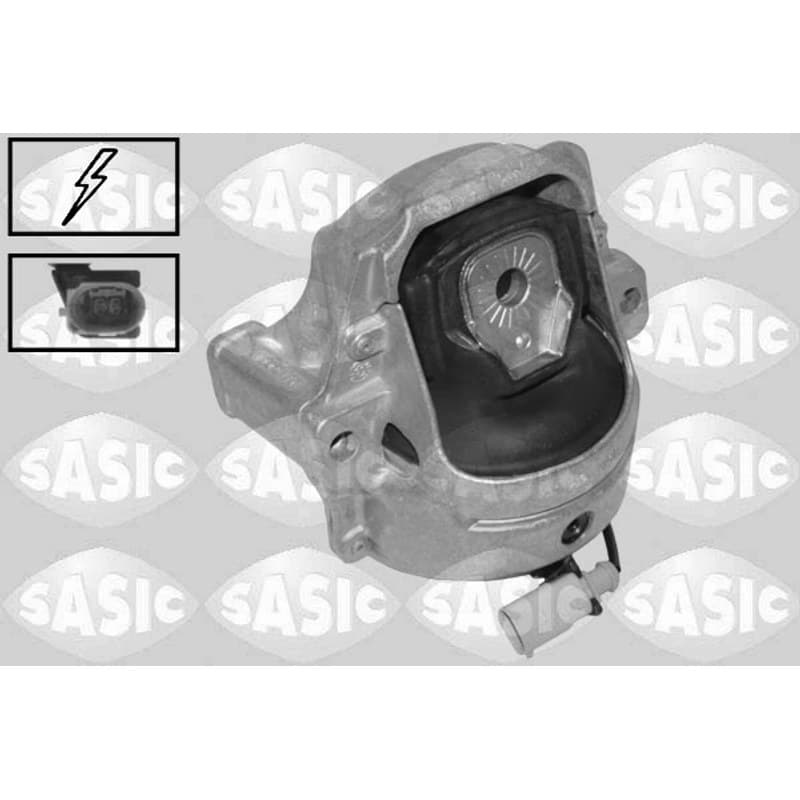 SASIC variklio montavimas 2706553