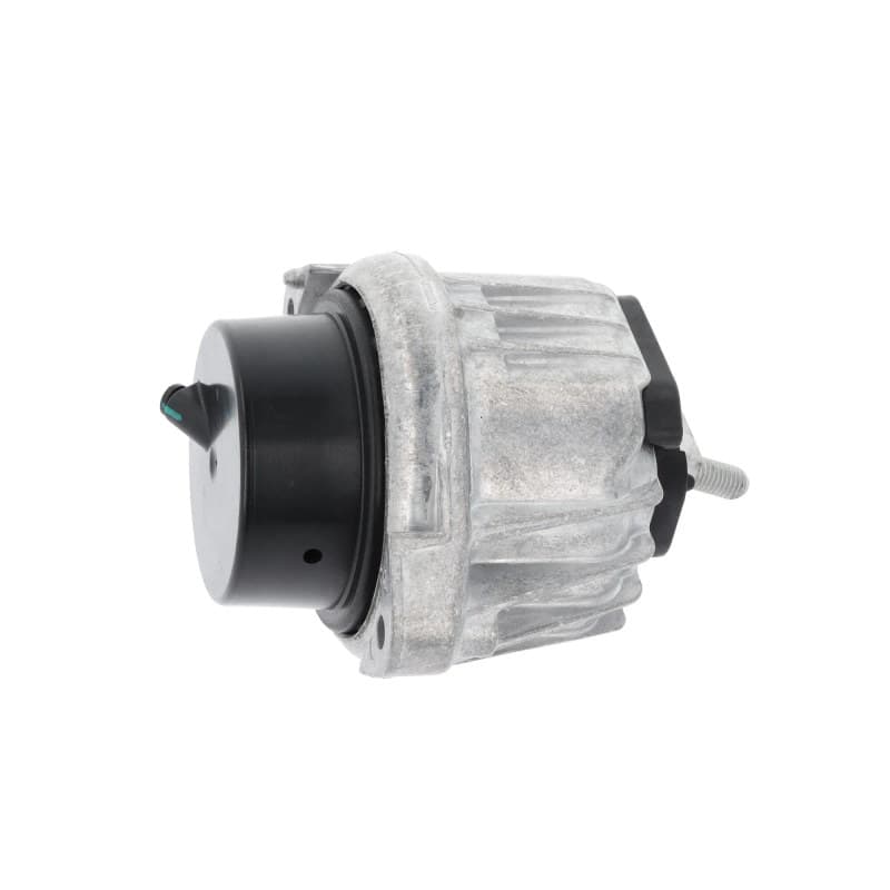 CORTECO variklio montavimas 80001232