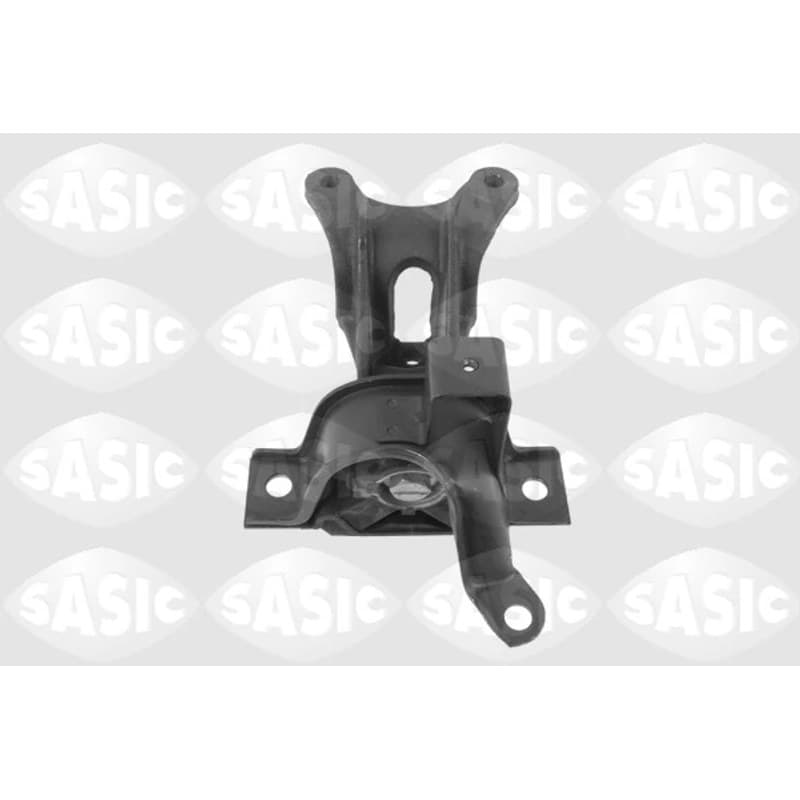 SASIC variklio montavimas 9002434
