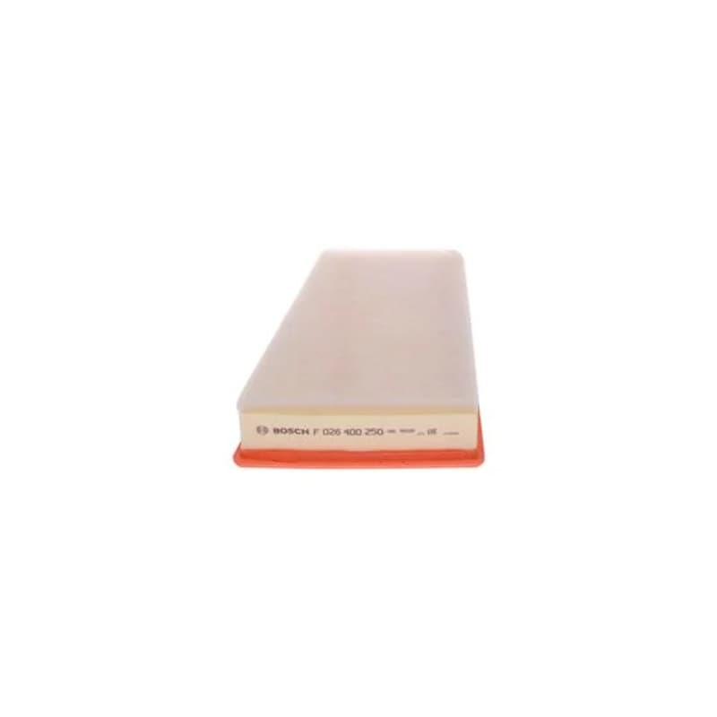 BOSCH F 026 400 250 oro filtras