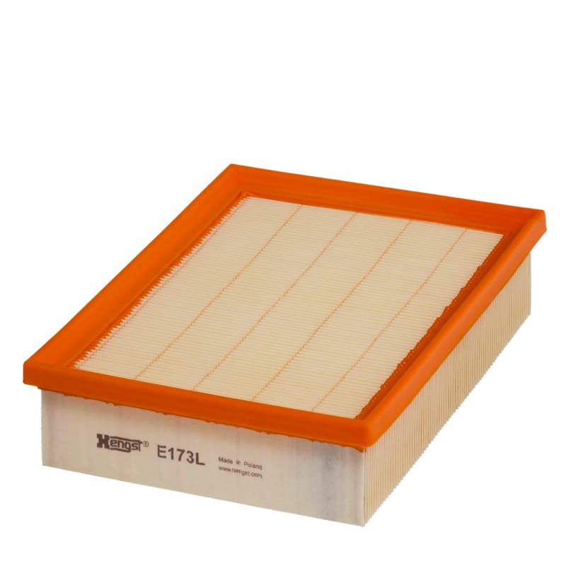 HENGSTFILTER oro filtras E173L
