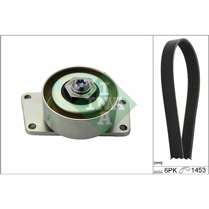 SCHAEFFLERINA V formos rumbuotas diržas, komplektas 529 0216 10