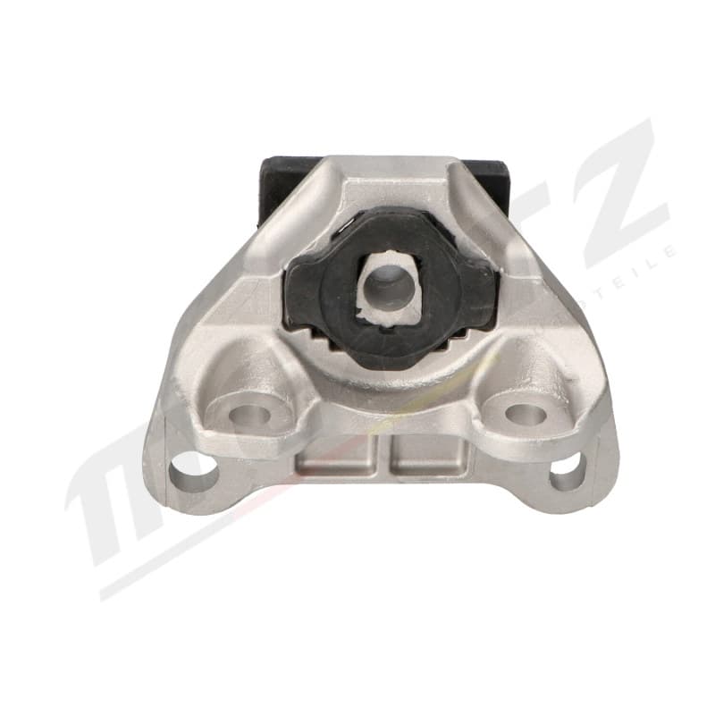 MERTZ montavimas, neautomatinė transmisija M-S4894