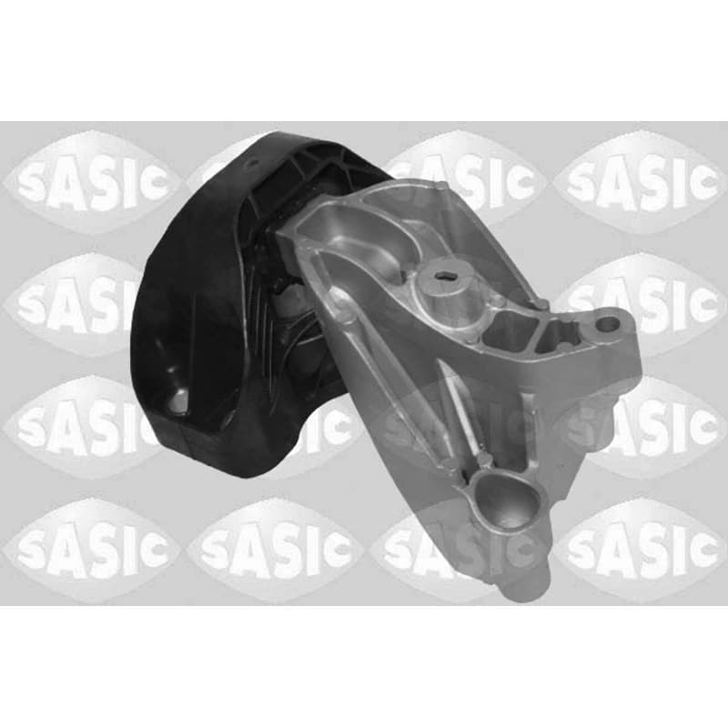 SASIC variklio montavimas 2700231