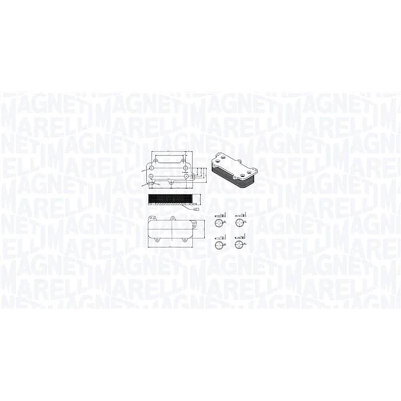 MAGNETIMARELLI alyvos aušintuvas, variklio alyva 350300003700
