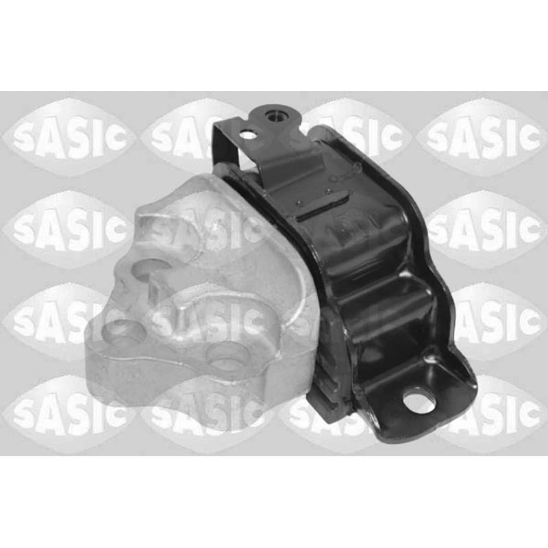 SASIC variklio montavimas 2706747