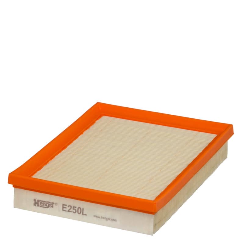 HENGSTFILTER oro filtras E250L
