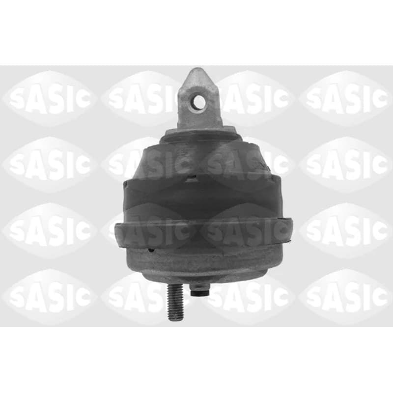 SASIC variklio montavimas 9002515