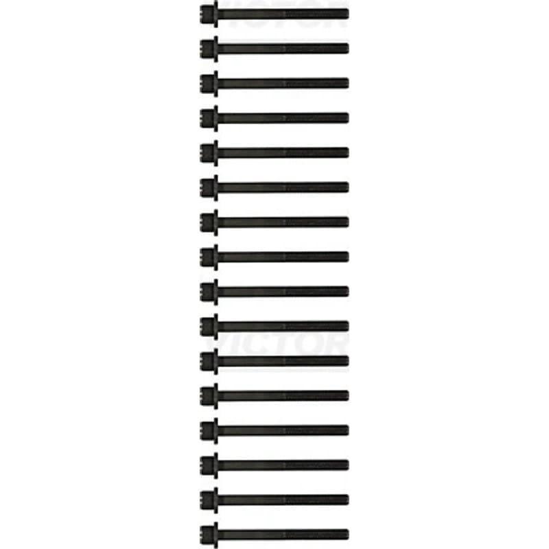 VICTORREINZ varžtų kompl., cil. galvutės varžtai 14-55007-01