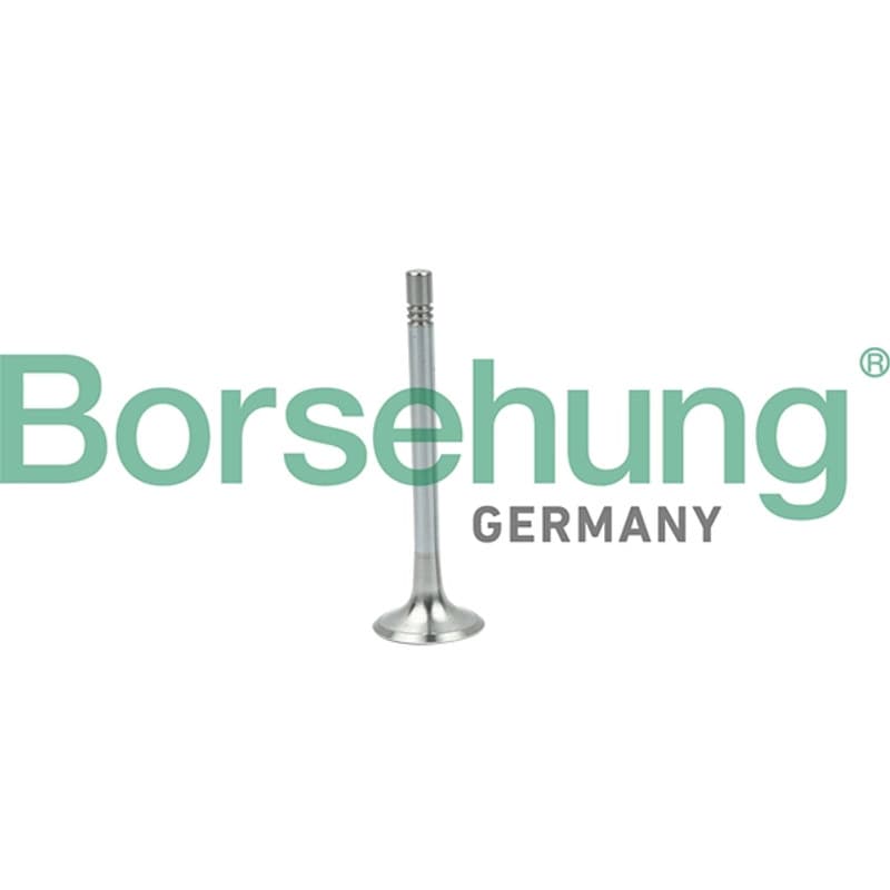 BORSEHUNG angos vožtuvas B19004