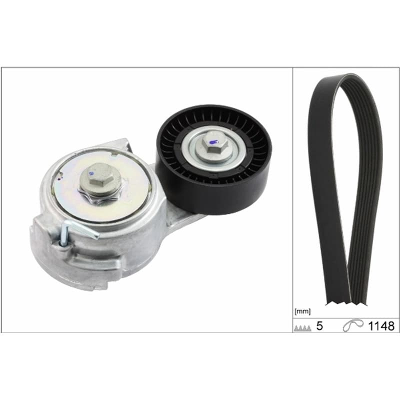 SCHAEFFLERINA V formos rumbuotas diržas, komplektas 529 0013 10