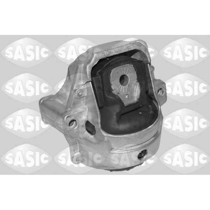 SASIC variklio montavimas 2706542