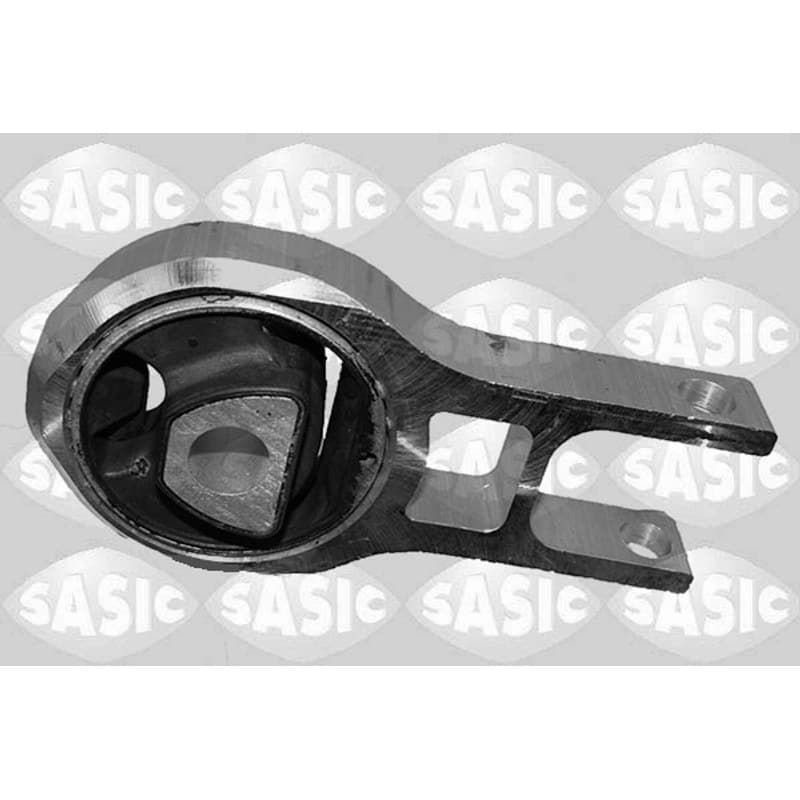 SASIC variklio montavimas 2706333