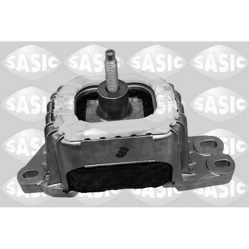 SASIC variklio montavimas 2700094