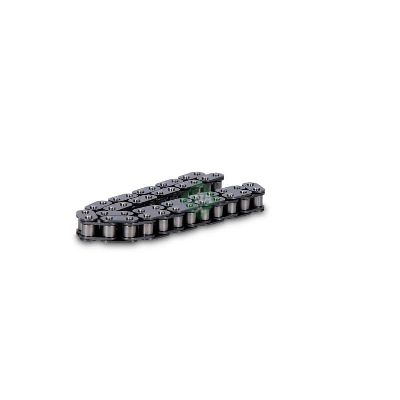 SCHAEFFLERINA Pavaros grandinė 553 0105 10
