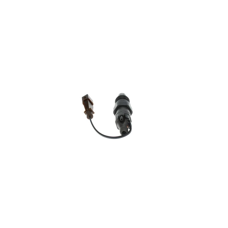 BOSCH 0 432 217 306 purkštukas