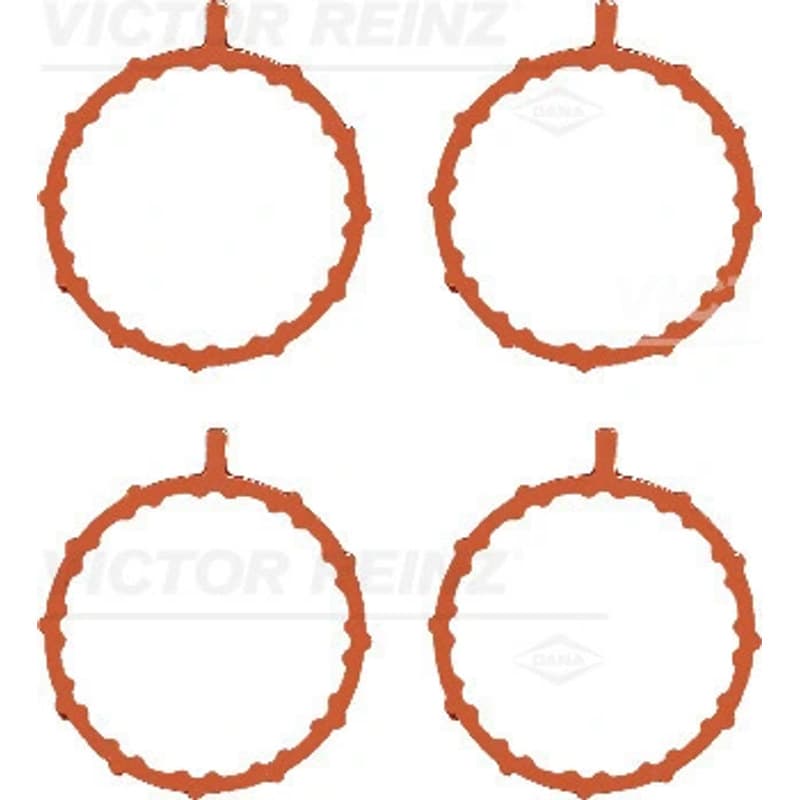 VICTORREINZ tarpiklių rinkinys, įsiurbimo kolektorius 11-39877-01