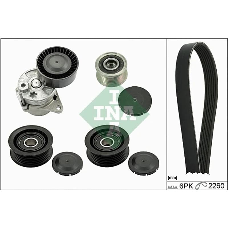 SCHAEFFLERINA V formos rumbuotas diržas, komplektas 529 0115 20