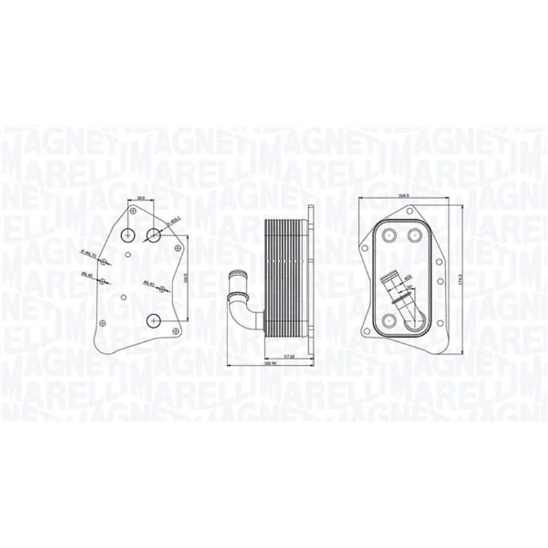 MAGNETIMARELLI alyvos aušintuvas, variklio alyva 350300002300