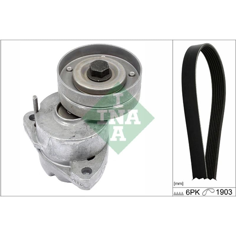 SCHAEFFLERINA V formos rumbuotas diržas, komplektas 529 0091 10