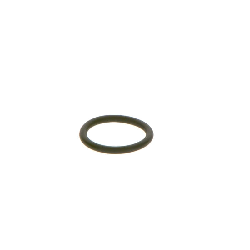BOSCH F 00R J01 452 guminis žiedas