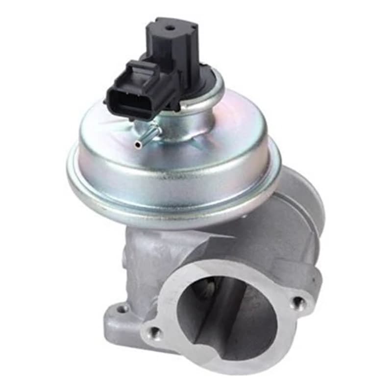 MAGNETIMARELLI ERG vožtuvas 571822112109