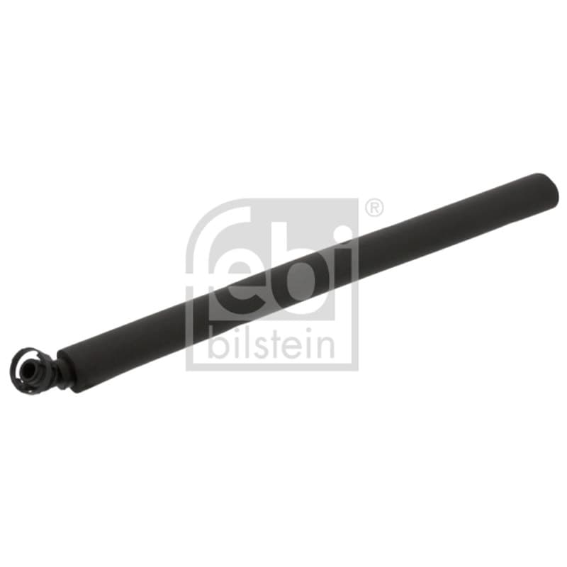 FEBIBILSTEIN žarna, karterio alsuoklis 45358