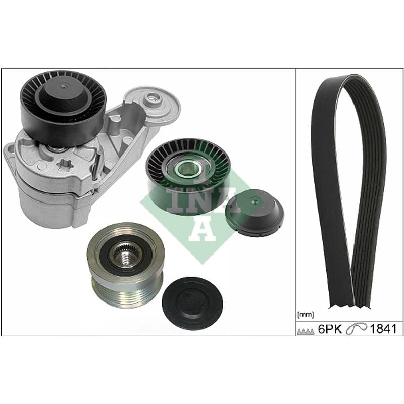 SCHAEFFLERINA V formos rumbuotas diržas, komplektas 529 0480 20