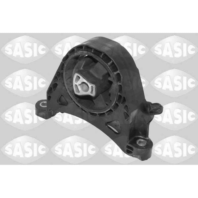 SASIC variklio montavimas 2706602