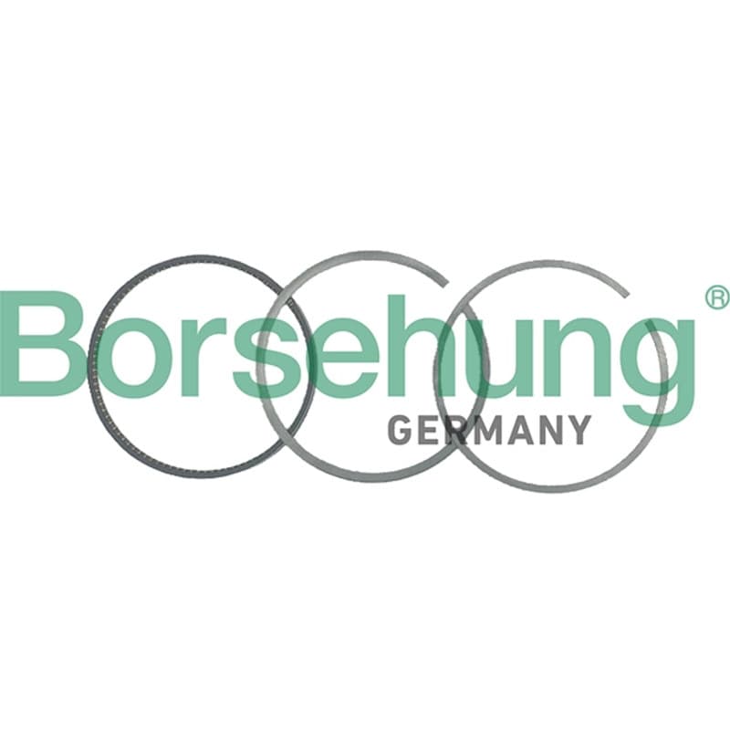 BORSEHUNG stūmoklio žiedų komplektas B19051