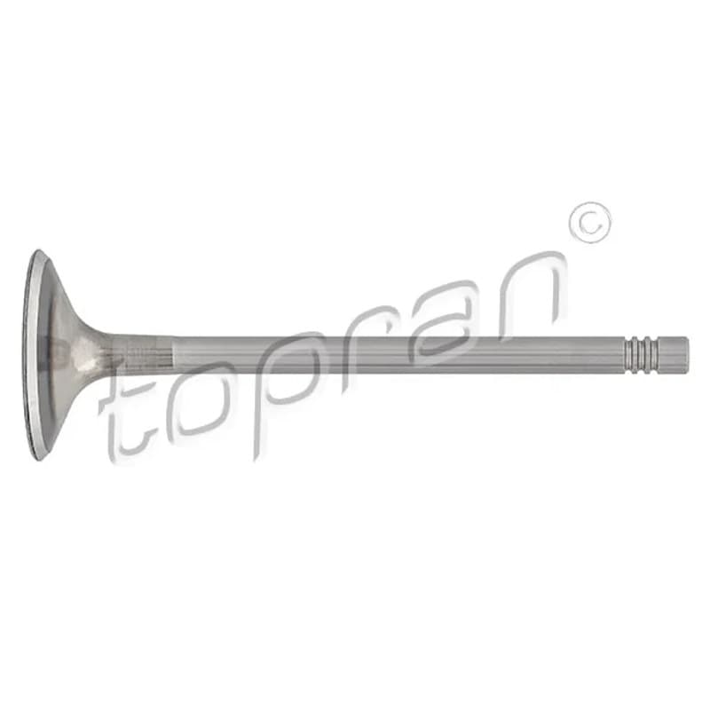 TOPRAN 110 203 įvado vožtuvas