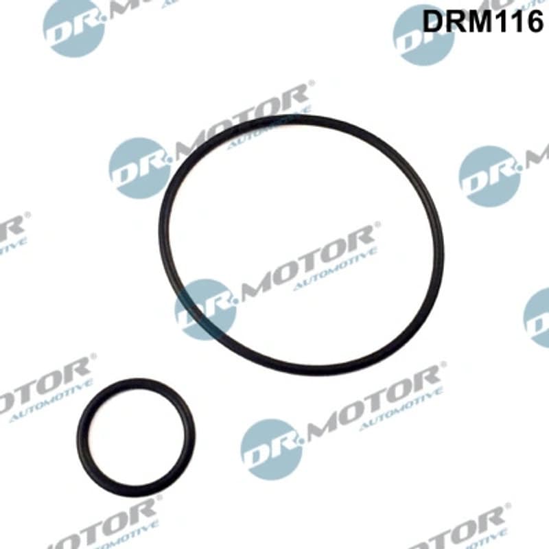 DRMOTORAUTOMOTIVE tarpiklių rinkinys, įsiurbimo kolektorius DRM116