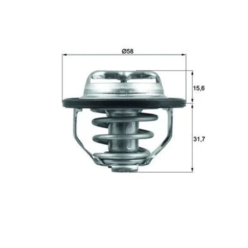 MAHLE TX 122 82 termostatas, aušinimo skystis