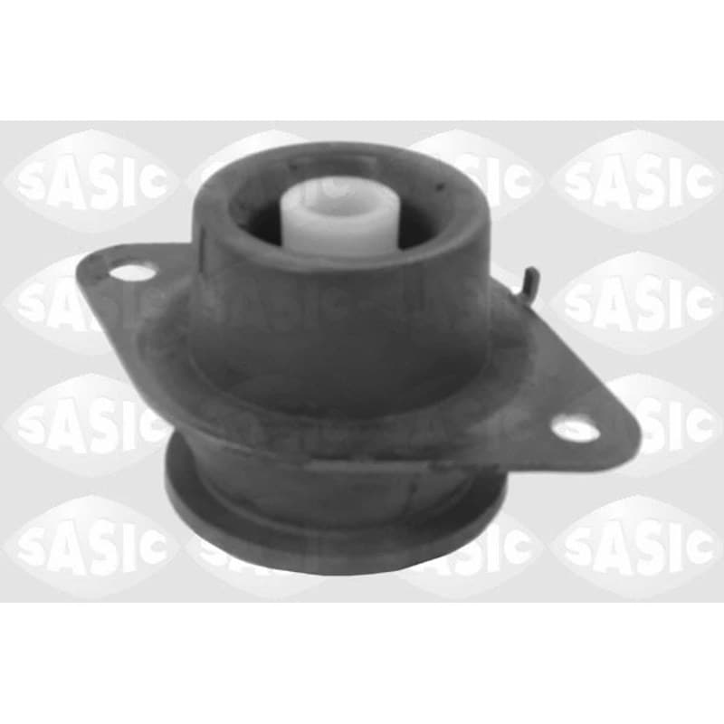 SASIC variklio montavimas 2704019